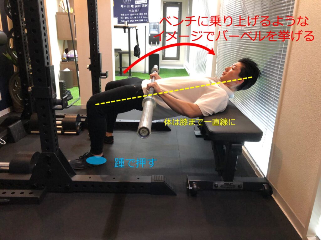ヒップスラストのやり方・ポイント | 科学特化型パーソナルジム Eclipse